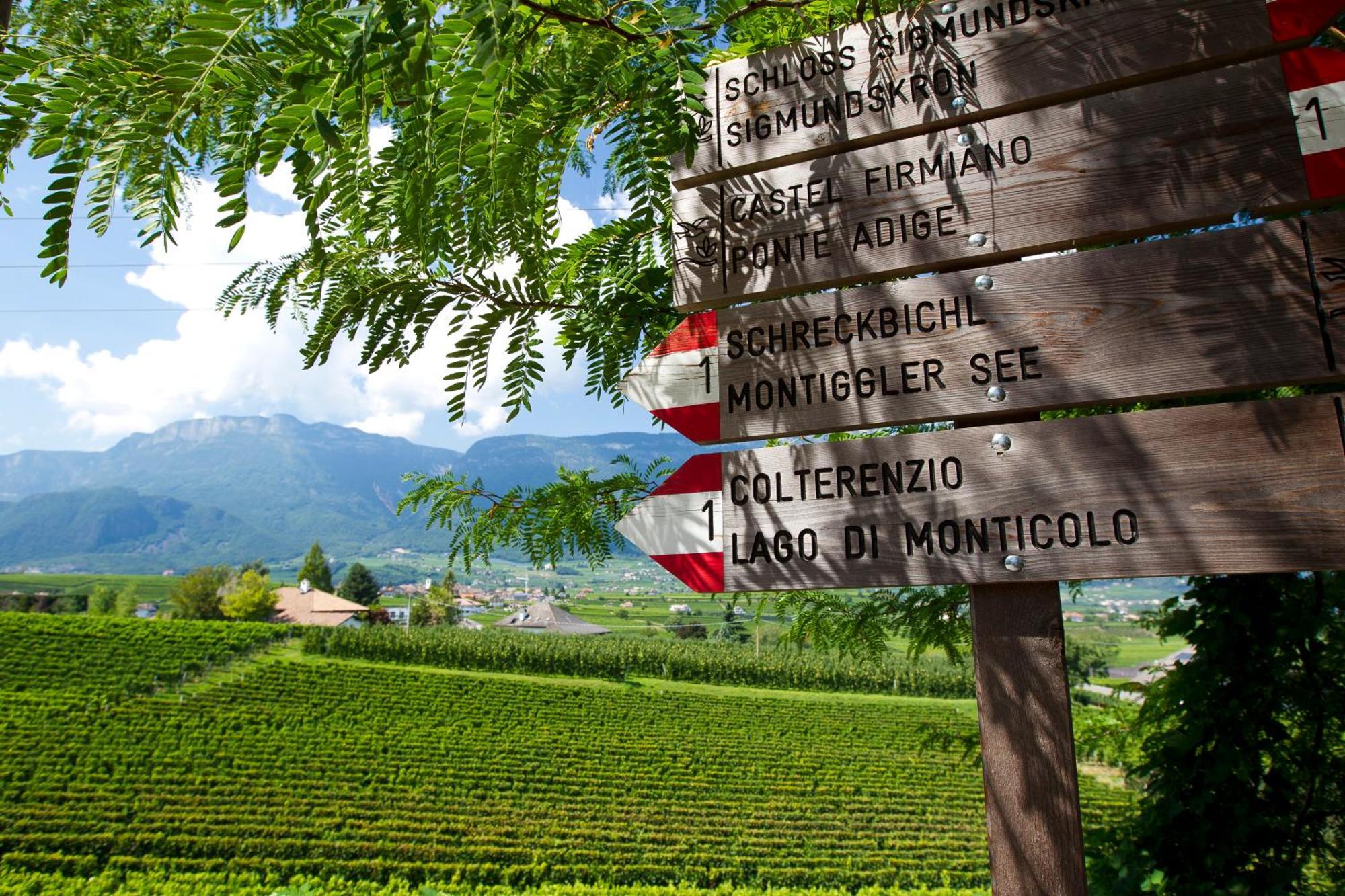 Hotel Girlanerhof Appiano Sulla Strada Del Vino Kültér fotó